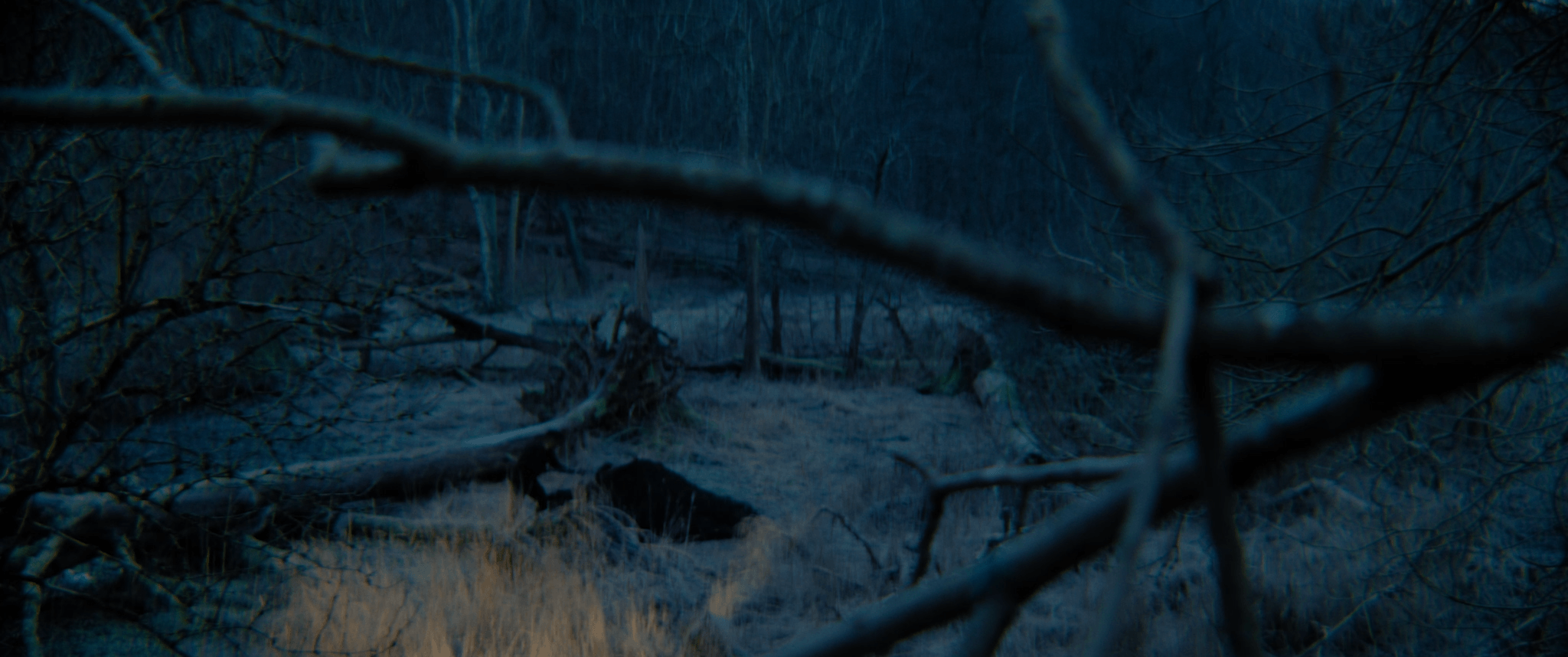 Still from Kevins Gold