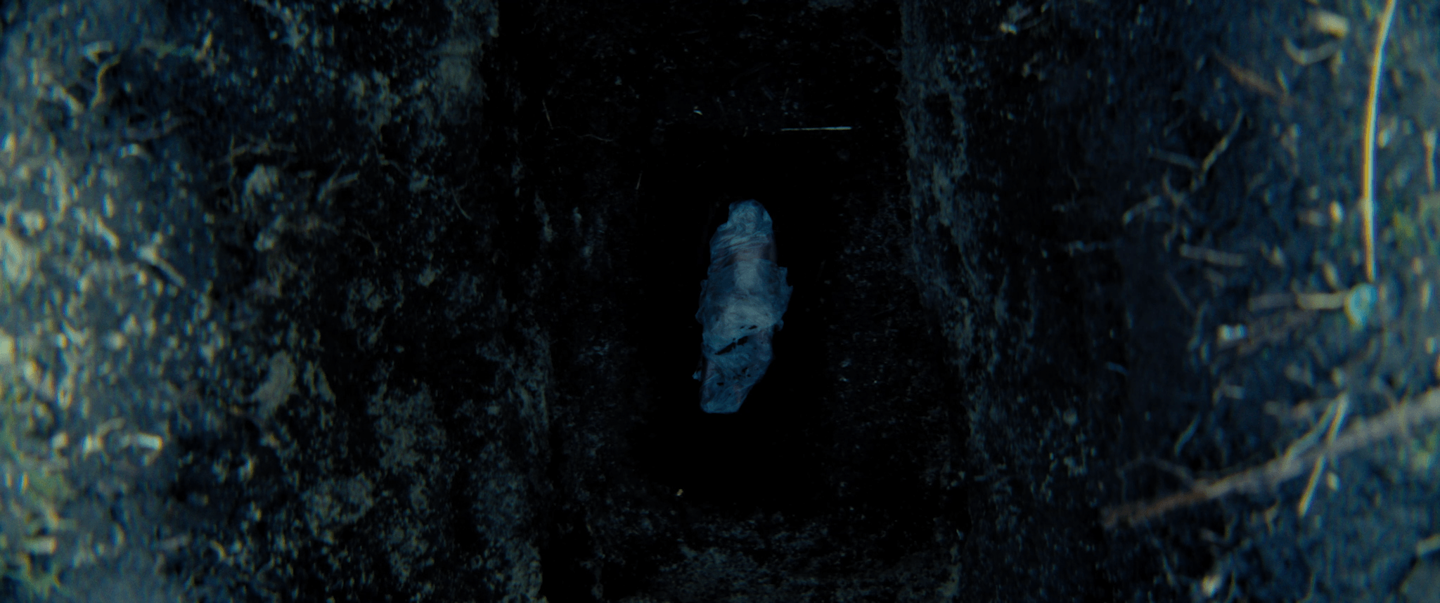 Still from Kevins Gold