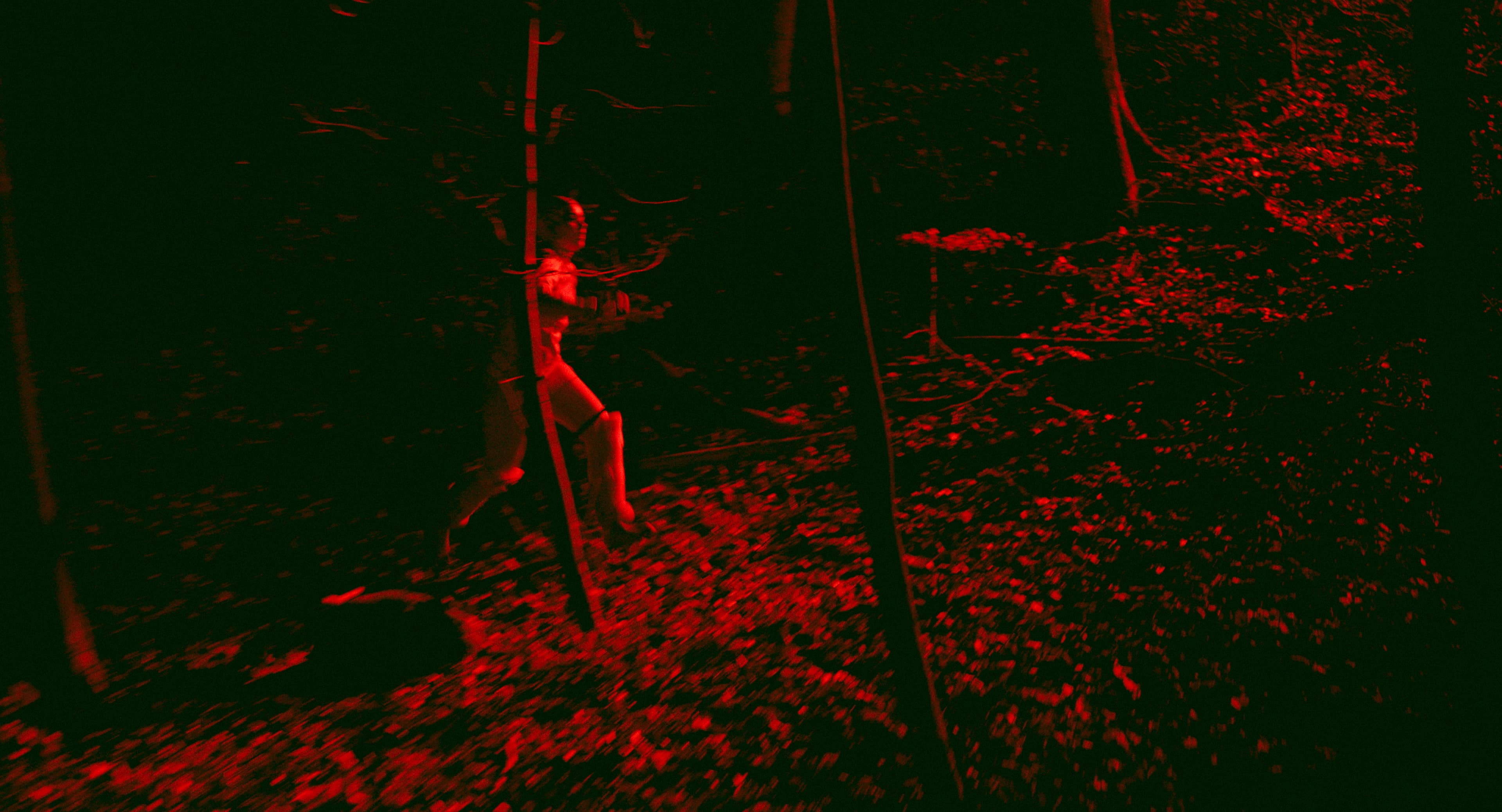 Still from Where Did I Go